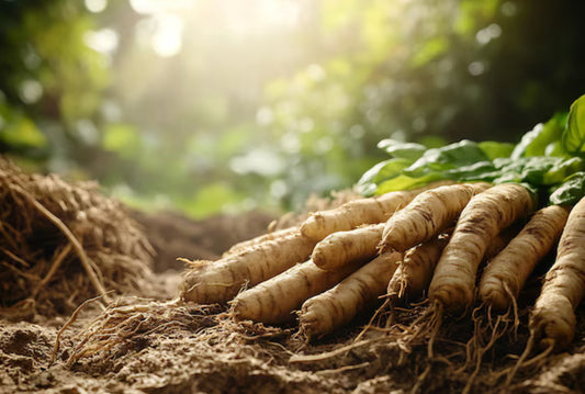 Tongkat Ali: the secret weapon for boosting testosterone levels